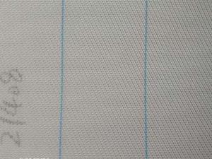 單層成型網(wǎng)